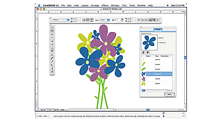 CorelDRAW Graphics Suite 11